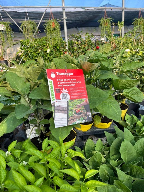 Garden center display